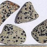 Dalmation Jasper